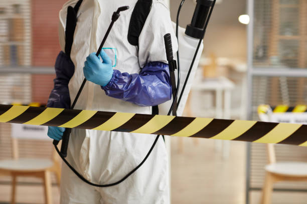 Professional Sewage Cleanup technician working in New Blaine, AR